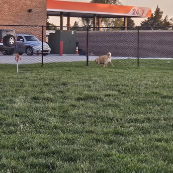 Prairie Dogs Dog Park